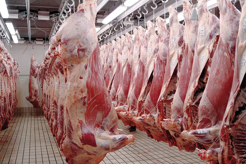 Contrôle sanitaire viande