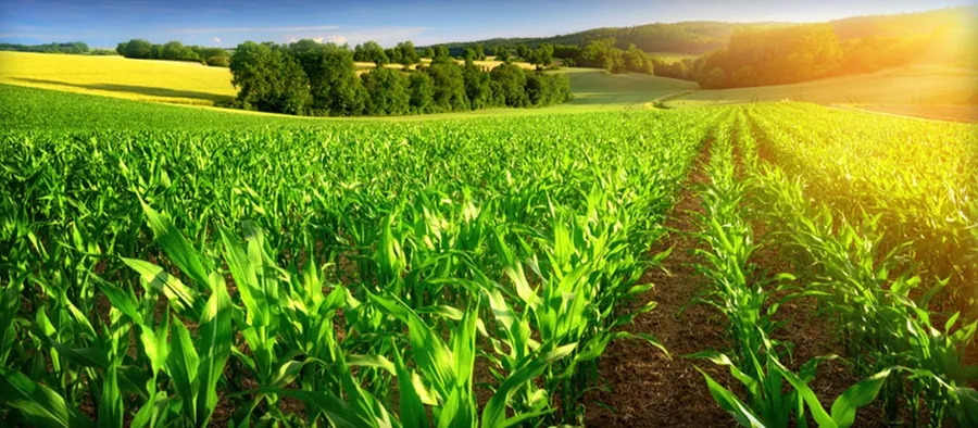 Agriculture et conformité ONSSA